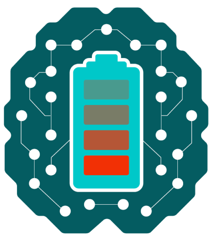 BIG-MAP logo